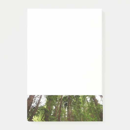 Tot Redwoods in Muir Bossen National Monument Post-it® Notes (Voorkant)