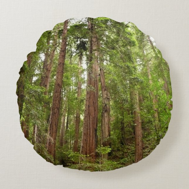 Tot Redwoods in Muir Bossen National Monument Rond Kussen (Voorkant)