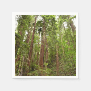 Tot Redwoods in Muir Bossen National Monument Servetten