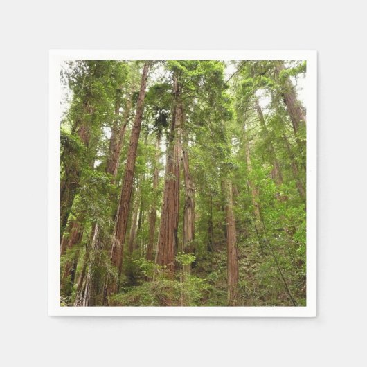 Tot Redwoods in Muir Bossen National Monument Servetten (Voorkant)