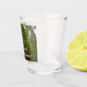 Tot Redwoods in Muir Bossen National Monument Shot Glas (Rechts)