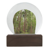 Tot Redwoods in Muir Bossen National Monument Sneeuwbol (Achterkant)