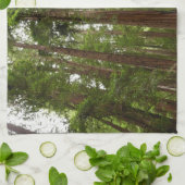 Tot Redwoods in Muir Bossen National Monument Theedoek (Gevouwen)