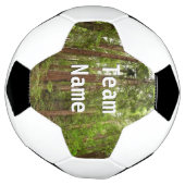 Tot Redwoods in Muir Bossen National Monument Voetbal (Gedraaid)