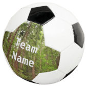 Tot Redwoods in Muir Bossen National Monument Voetbal (Drie kwart)