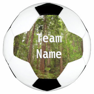 Tot Redwoods in Muir Bossen National Monument Voetbal