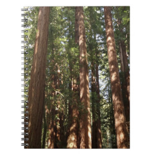 Tot Reuzenbomen II in Muir Woods National Monument Notitieboek