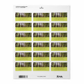 Tot Reuzenbomen in de Ochtend Etiket (Full Sheet)
