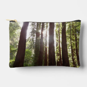 Tot Reuzenbomen in de Ochtend Etui
