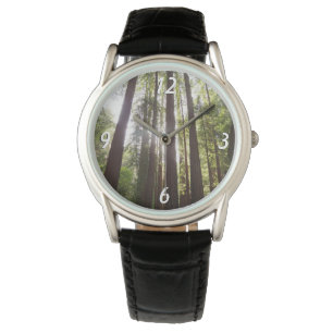 Tot Reuzenbomen in de Ochtend Horloge