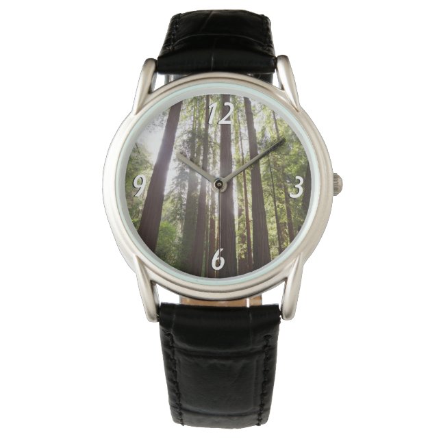 Tot Reuzenbomen in de Ochtend Horloge (Voorkant)