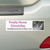 Tot slot: China's thuisland, Chili Bumpersticker (Op auto)