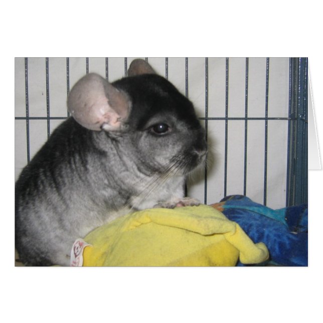 Tot slot: Home Card, Wubbzy en zijn Wubbzy Doll (Voorkant Horizontaal)