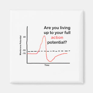Tot uw volledige potentieel magneet