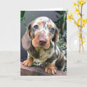 *TOT ZIENS EN IK ZAL JE MISSEN*** KAART (Gele Bloem)