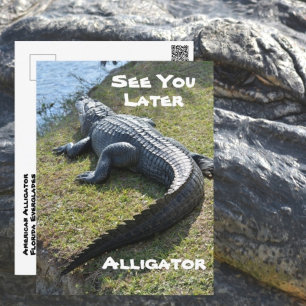 Tot ziens op Alligator Everglades Photographic Briefkaart