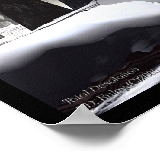 Total Desolation Poster (Hoek)