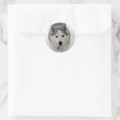 Totale aanbidding ronde sticker (Tas)