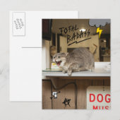 Totale badkat briefkaart (Voorkant / Achterkant)