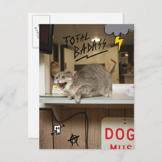 Totale badkat briefkaart (Voorkant / Achterkant)