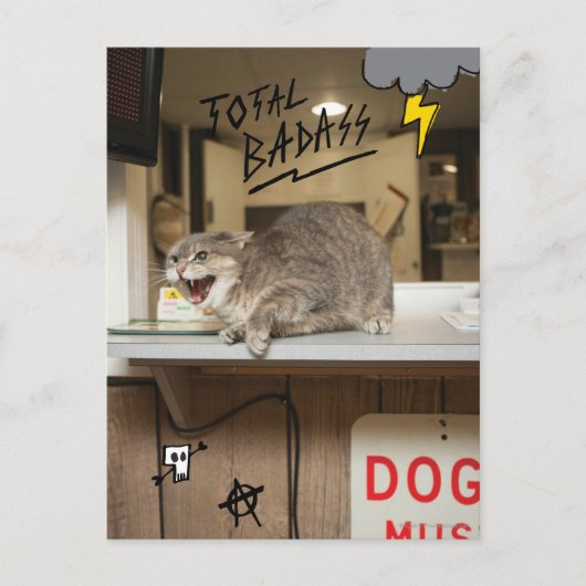 Totale badkat briefkaart (Voorkant)