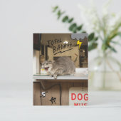 Totale badkat briefkaart (Staand voorkant)