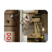 Totale badkat magneet (Horizontaal)