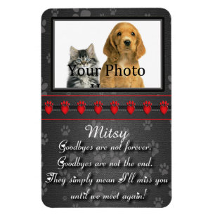 Totdat we elkaar weer ontmoeten Memorial voor Cat  Magneet