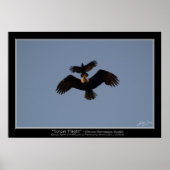 TOTEM FLIGHT ~ Foto Poster (Voorkant)