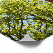 Totem Pole Wall Poster (Hoek)