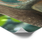 Totem Pole Wall Poster (Hoek)