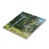 Totems in Stanley Park, Vancouver Canada Tegeltje (Zijkant)