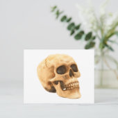 Totenkopf Schädel skull Briefkaart (Staand voorkant)