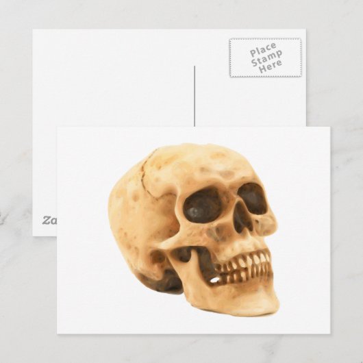 Totenkopf Schädel skull Briefkaart (Voorkant / Achterkant)