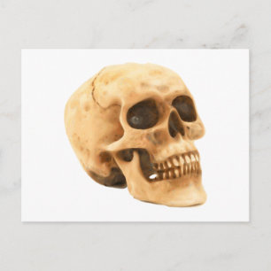 Totenkopf Schädel skull Briefkaart