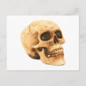 Totenkopf Schädel skull Briefkaart (Voorkant)