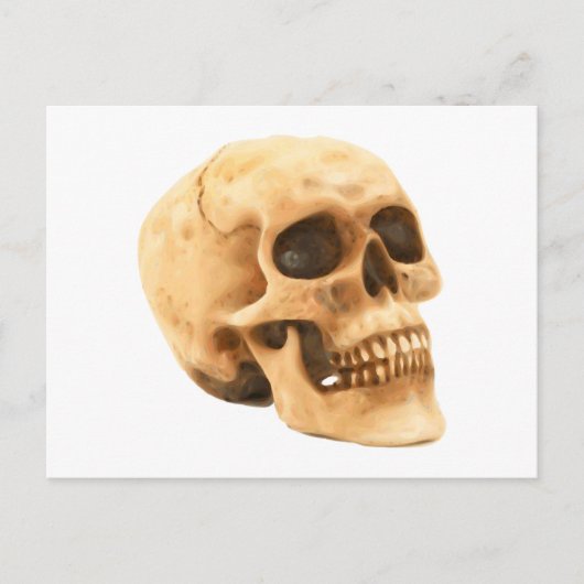 Totenkopf Schädel skull Briefkaart (Voorkant)