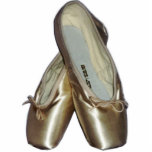 Totenschoenen Ballet Ornament Fotobeeldje Ornament<br><div class="desc">Heeft uw dochter dit jaar afstuderen op dansen?  Herinneer de gelegenheid met deze uitsnijderij.  Of misschien hou je gewoon van dansen,  en daarom doet dit een beroep op je.</div>