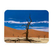 Toter Baum in Deadvlei Magneet (Horizontaal)