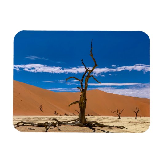 Toter Baum in Deadvlei Magneet (Horizontaal)