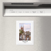 Totnes, Devon Magneet (Insitu (Vaatwasser))