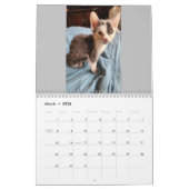 Toto Kitten (My Feral Lady redding) Kalender 2024 (Mar 2026)