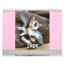 Toto Kitten (My Feral Lady redding) Kalender 2024
