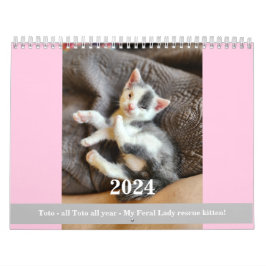 Toto Kitten (My Feral Lady redding) Kalender 2024