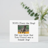 Toto (Terry de Hond) Briefkaart (Staand voorkant)