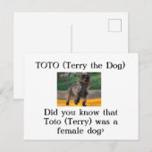 Toto (Terry de Hond) Briefkaart (Voorkant / Achterkant)