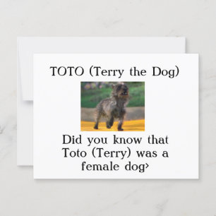 Toto (Terry de Hond) Briefkaart