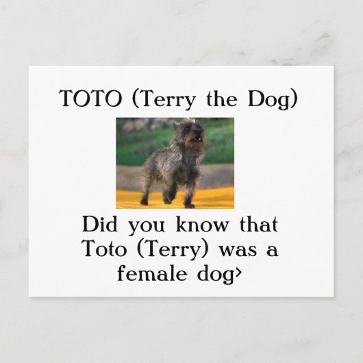 Toto (Terry de Hond) Briefkaart (Voorkant)