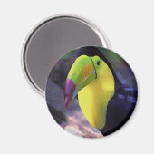Toucan 1 magneet (Voorkant / Achterkant)