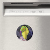 Toucan 1 magneet (Insitu (Vaatwasser))